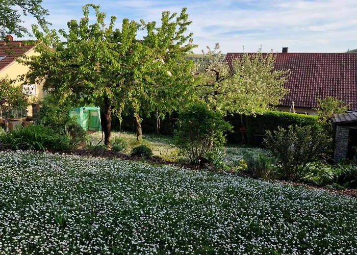 Suedhang * Ochsenfurt
