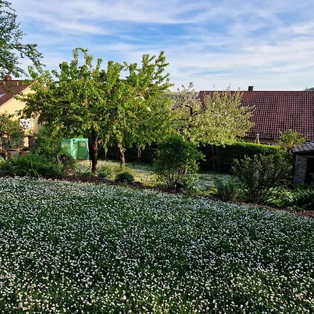 Suedhang * Ochsenfurt